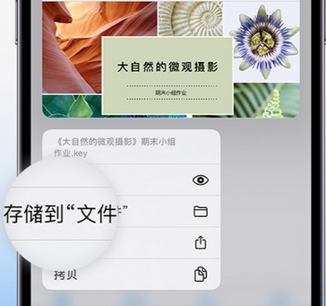 秦都apple维修中心分享iPhone文件应用中存储和找到下载文件