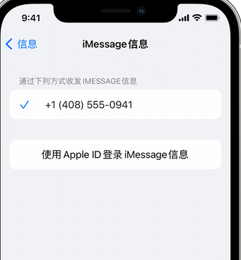 秦都apple维修iPhone上无法正常发送iMessage信息 