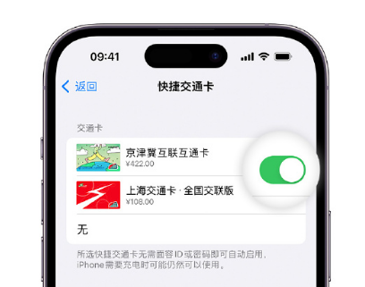 秦都apple维修点分享iPhone上更换Apple Pay快捷交通卡手绘卡面 