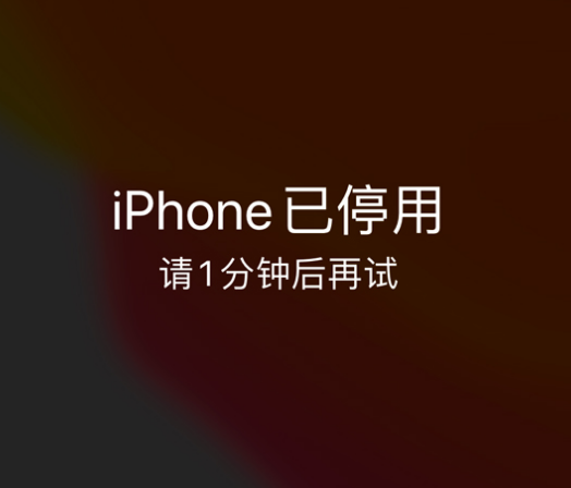 秦都苹果手机维修分享:iPhone 显示“不可用”或“已停用”怎么办？还能保留数据吗？ 