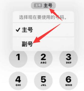 秦都苹果14维修店分享iPhone 14 Pro Max使用副卡打电话的方法 