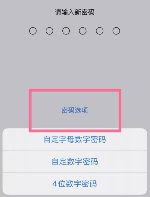 秦都苹果14维修分享iPhone 14plus设置密码的方法 