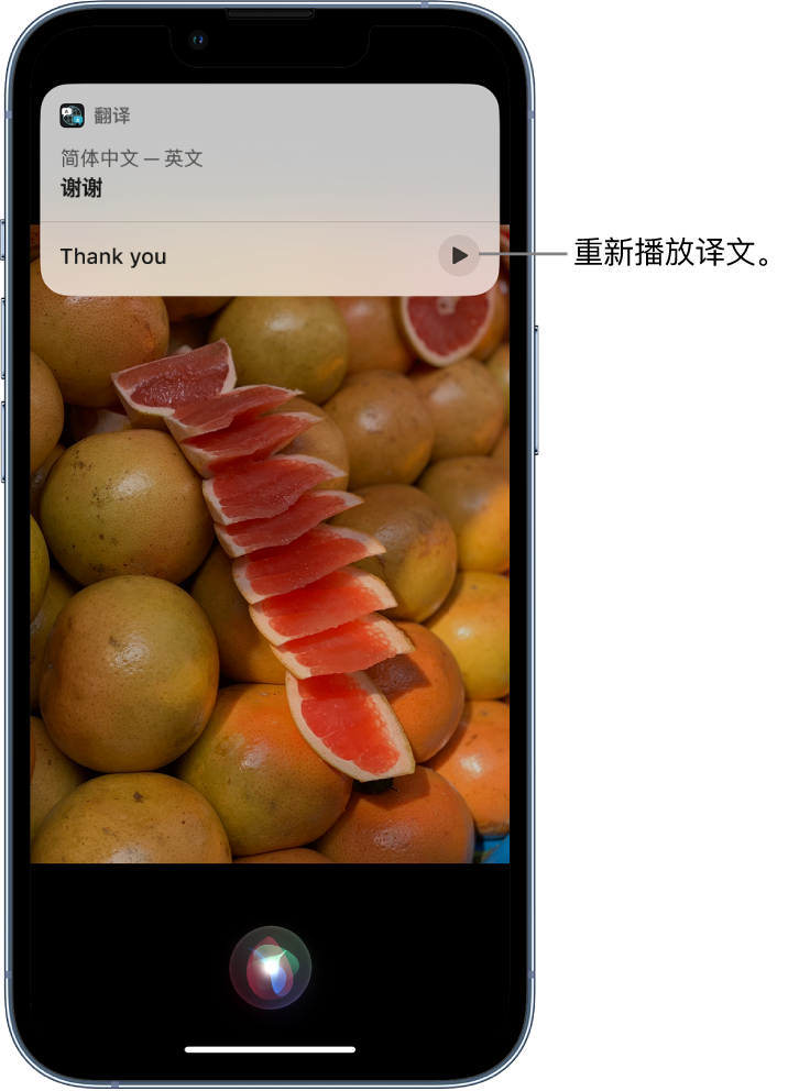 秦都苹果14维修分享 iPhone 14 机型中使用 Siri：了解 Siri 能帮你做什么 