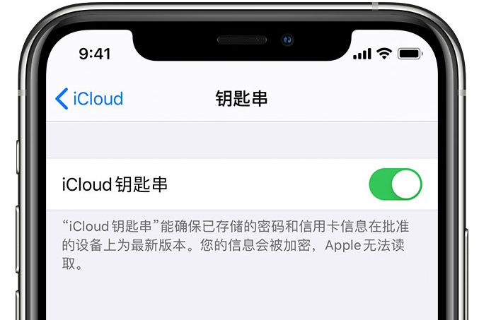 秦都苹果手机维修分享在 iPhone 上开启 iCloud 钥匙串之后会储存哪些信息 